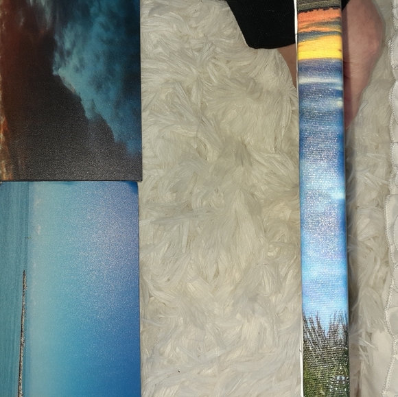 3 Palm Tree Paintings on canvas and foam - Picture 4 of 12